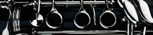Clarinet pads