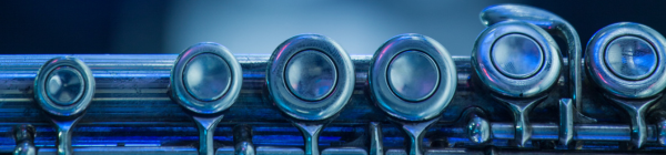 Flute pads