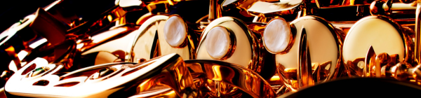 Sax pads