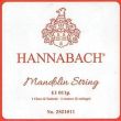 HANNABACH MI 0.10 MANDOLIN STRING