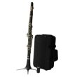 LUCIEN CL-300S-MIB EB CLARINET, ABS BODY, SILVER PLATED KEYS, WITH CASE