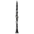 BUFFET CRAMPON 2512F-2-0GB BB CLARINET SIB 17/6 E12F (442), WITH BACKPACK CASE