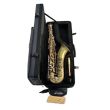 LUCIEN L-TS880M TENOR SAXOPHONE ANTIQUE BRASS - DELUXE RUCKSACK CASE