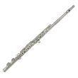 RIPAMONTI 3010SE FLUTE IN C - OPEN HOLES - E MECHANISM - SILVERED