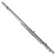 PEARL FLUTES PF525-R SILVERPLATED FLUTE, SOLID SILVER LIP-PLATE, OPEN HOLES, IN LINE G, C-FOOT, OUTFIT