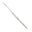 LUCIEN FL510-S FLUTE, SILVER PLATED, OFFSET G KEY, CLOSED HOLES, WITH RIGID CASE
