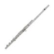 PF-525-RBE SILVER PLATED FLUTE, SOLID SILVER LIP PLATE, OPEN HOLES, E-MECH, B-FOOT, OUTFIT