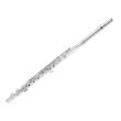 YFL-PLU3 "PLUTUS" SILVER PLATED FLUTE, 24k GOLD PLATED LIP AND SOLID SILVER RISER, OPEN HOLES, IN LI