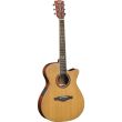 EVO A350CE AMPLIFIED ACOUSTIC GUITAR