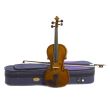 VL1400F (ex VL1130NP) 1/4 "STENTOR "STUDENT I" VIOLIN - CASE AND BOW - SET STD (SR1400 F)