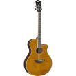 APX600FMAM  AMPLIFIED ACOUSTIC GUITAR - FLAMED TOP, AMBER