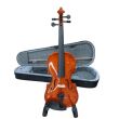 MASTER MUSIC VIOLIN 3/4 VEINMLER