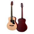 WALDEN WAD350-W STANDARD ACOUSTIC GUITAR 300 NATURAL COLOR WITH CASE